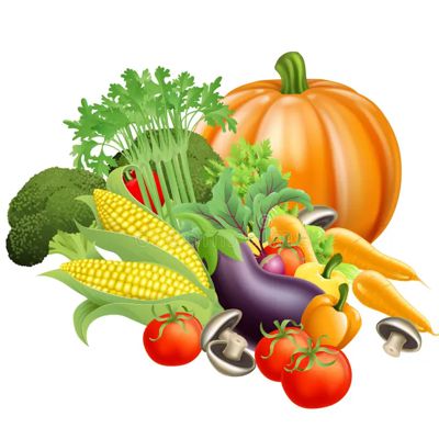 Vegetables الخضروات